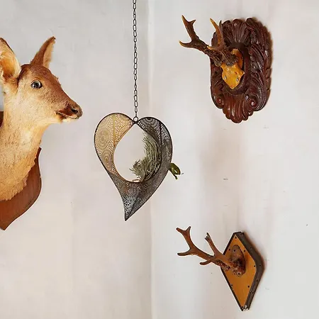 I Tramonti Del Picco Di Roda Apartmán